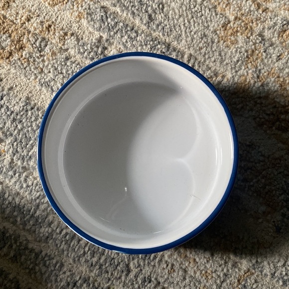 Petrageous dog dish - Picture 2 of 3